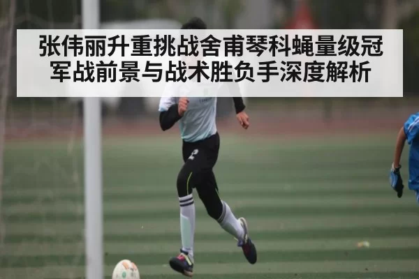 张伟丽升重挑战舍甫琴科蝇量级冠军战前景与战术胜负手深度解析
